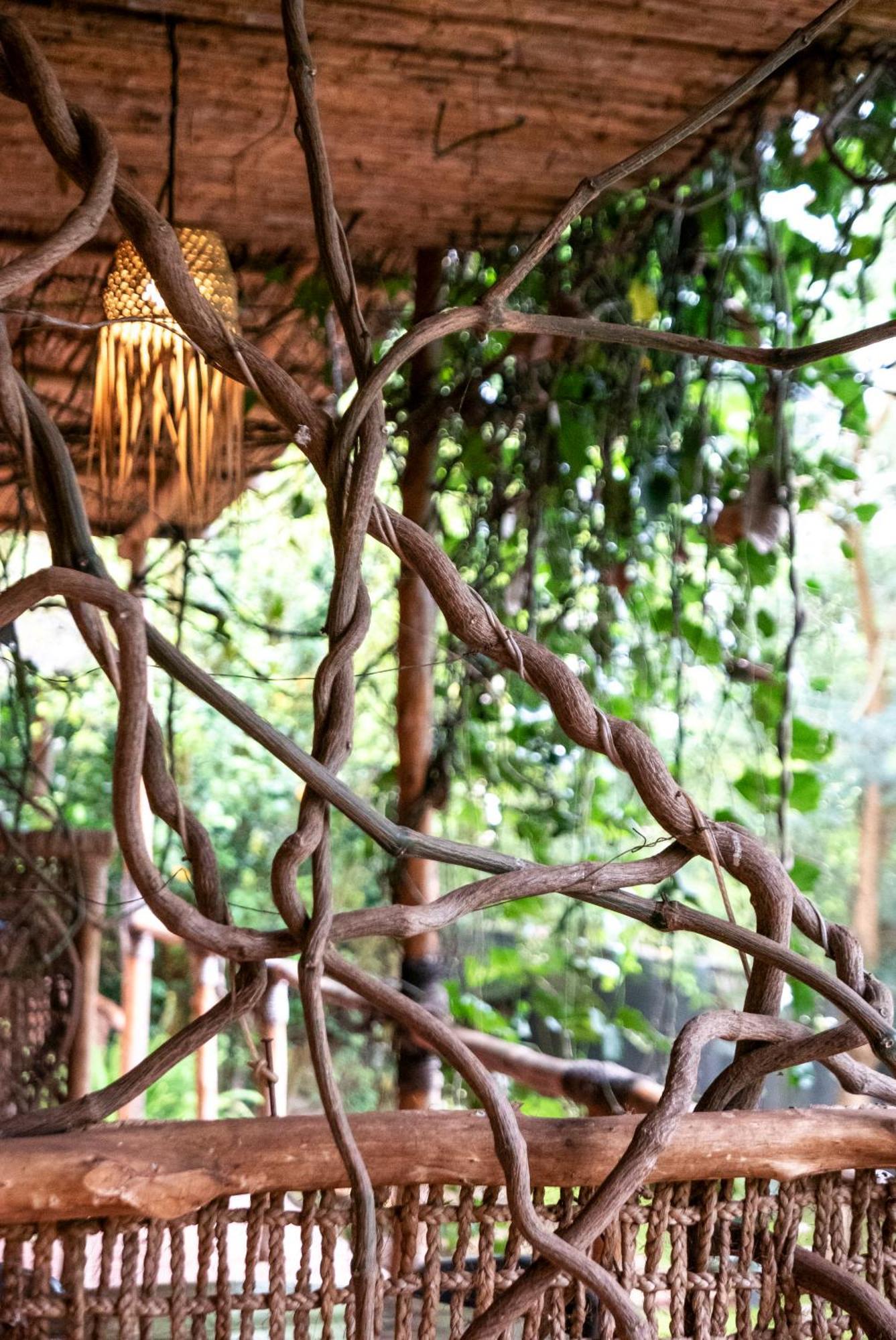 Akagera Transit Lodge エクステリア 写真