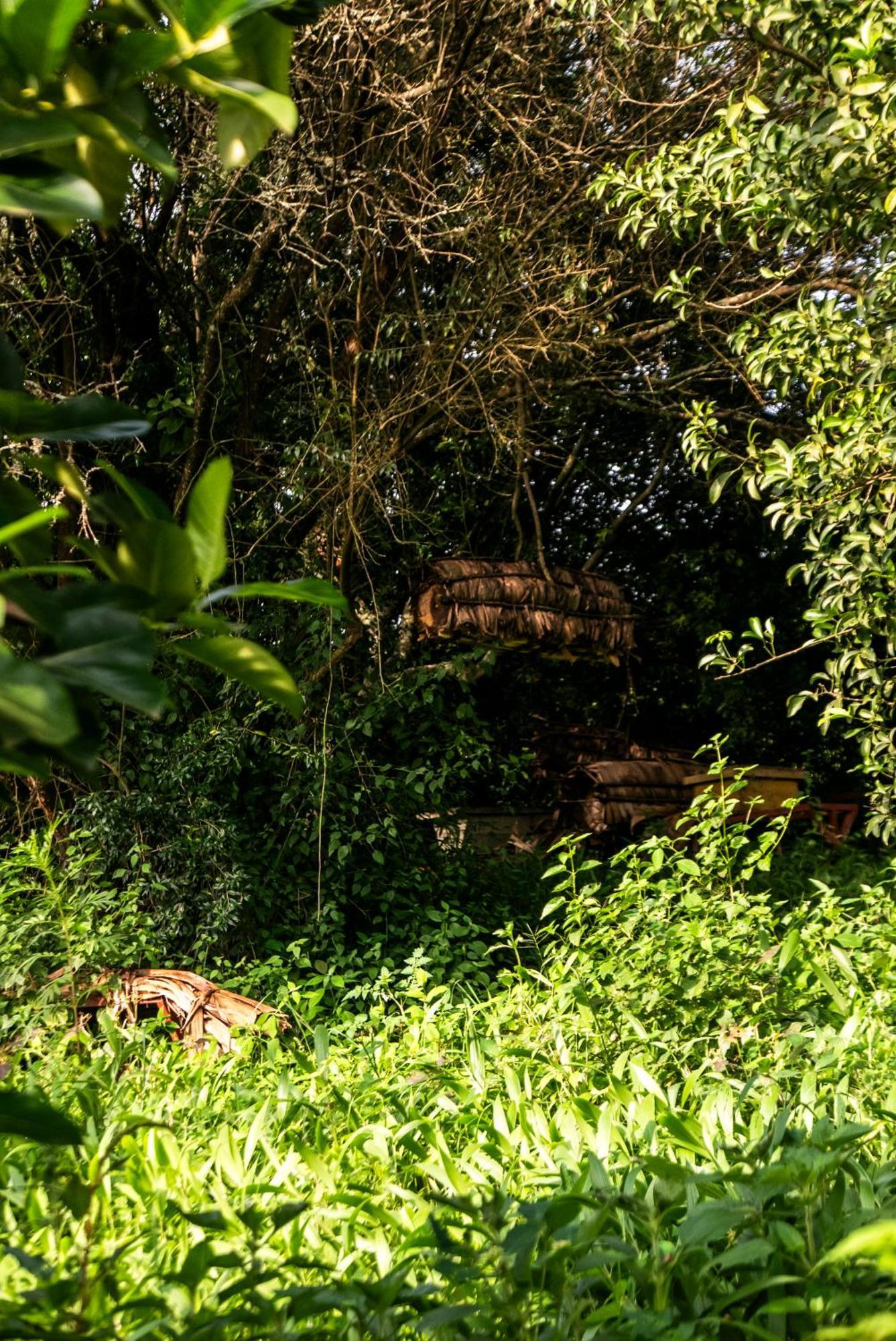 Akagera Transit Lodge エクステリア 写真